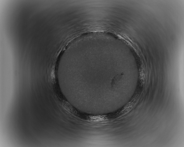 X0000096990516200802081430