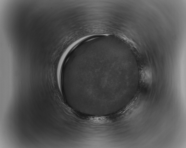 X0000096990517200802081430