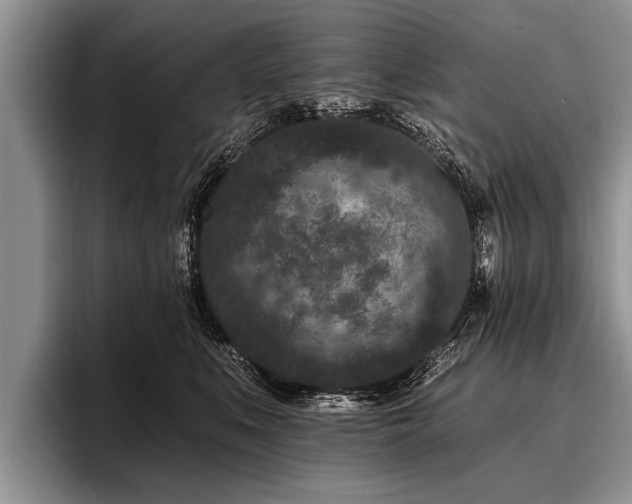 X0000096990519200802081430