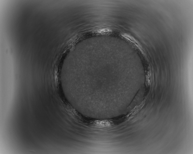 X0000096990520200802081430