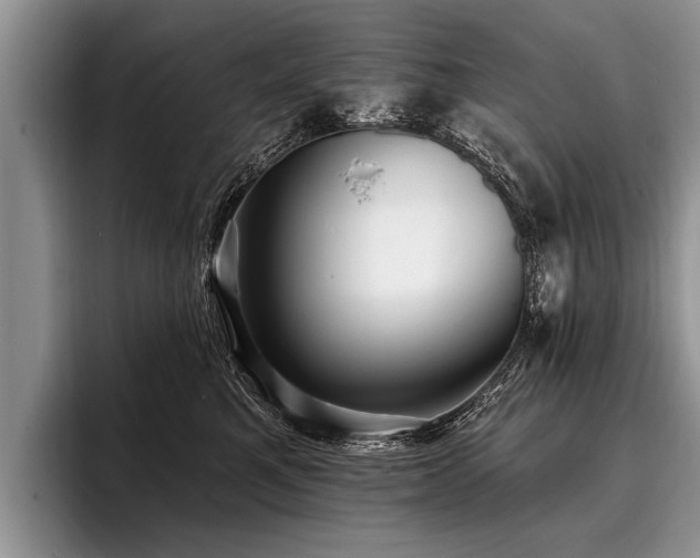 X0000096990521200802081430