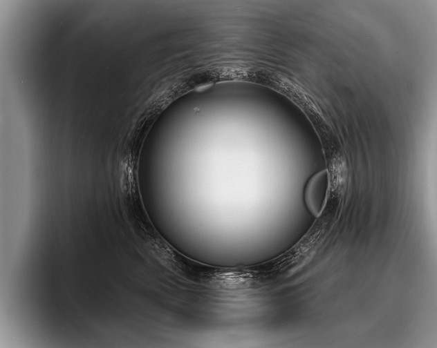 X0000096990522200802081430