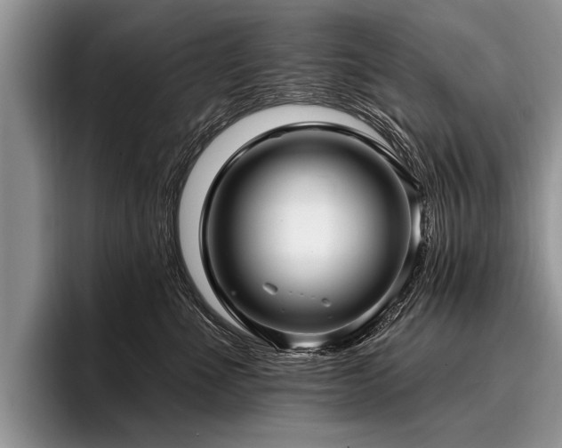 X0000096990523200802081430