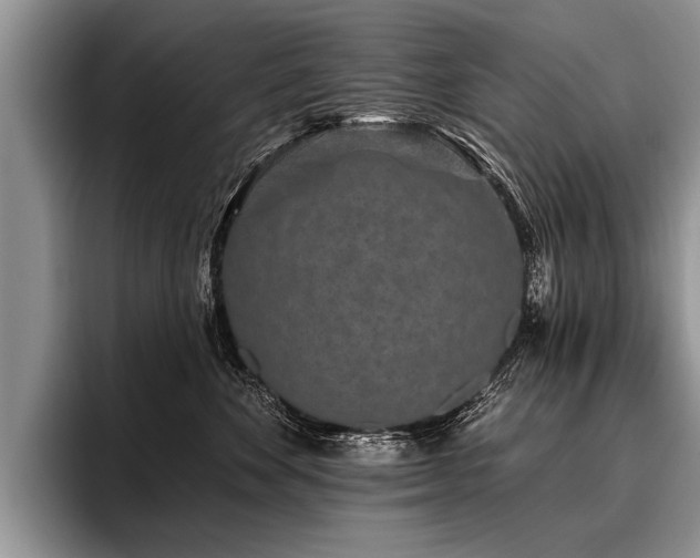 X0000096990524200802081430