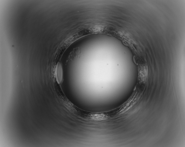X0000096990525200802081430