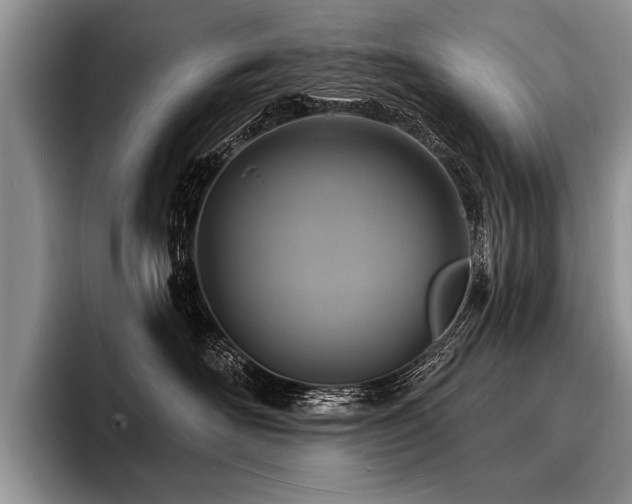 X0000096990526200802081430