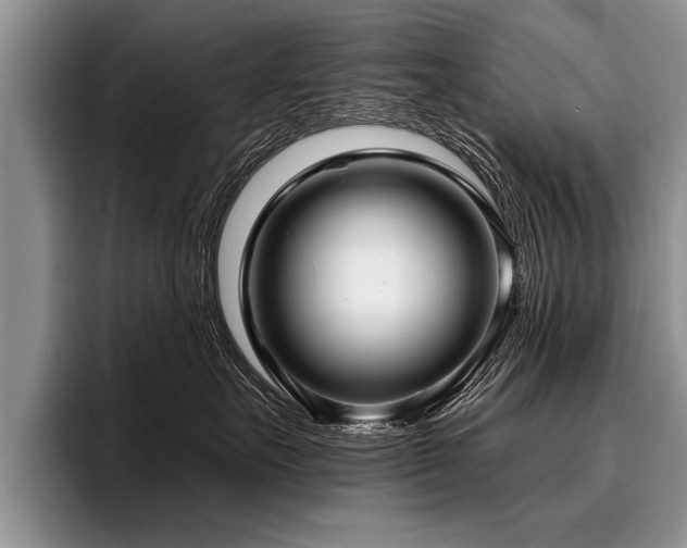 X0000096990527200802081430
