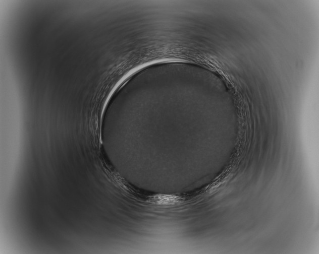 X0000096990528200802081430