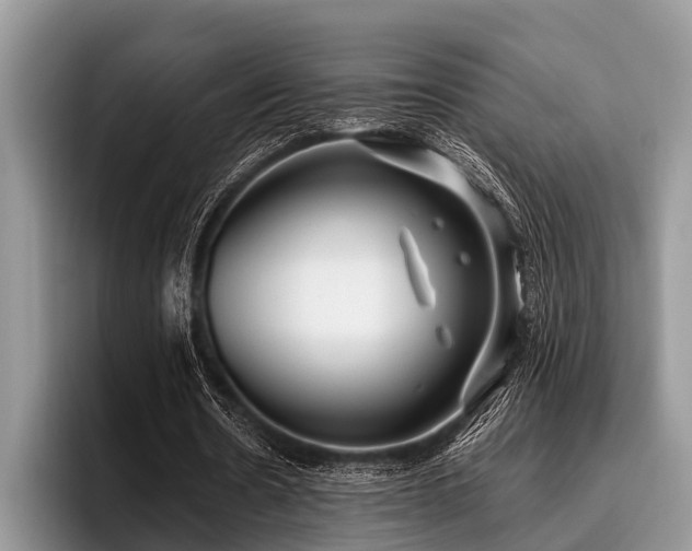X0000096990530200802081430
