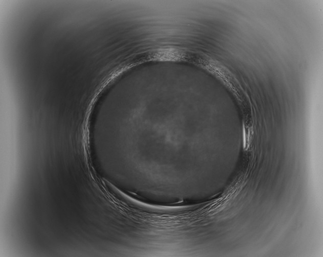 X0000096990531200802081430