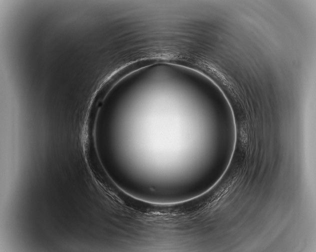X0000096990532200802081430