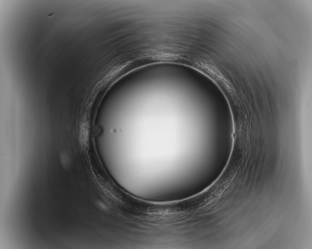 X0000096990533200802081430