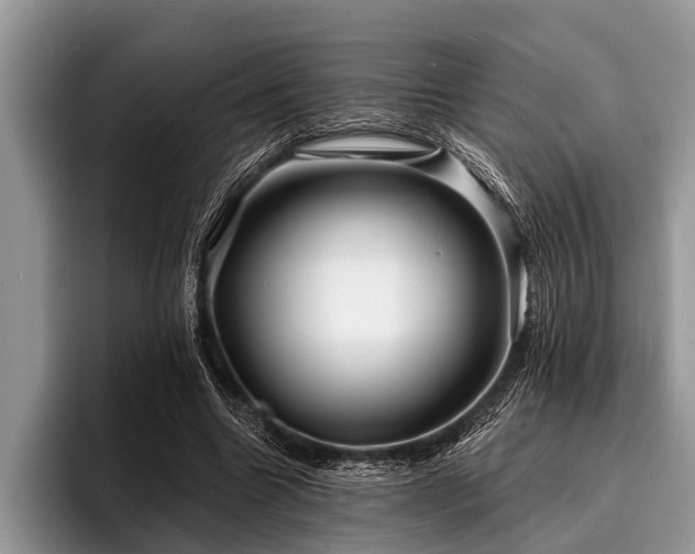 X0000096990538200802081430
