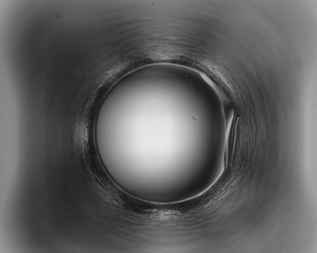 X0000096990539200802081430