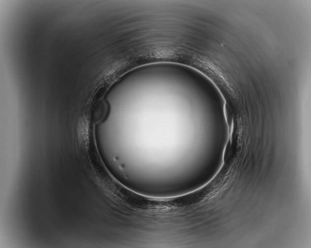 X0000096990542200802081430