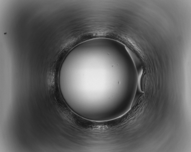 X0000096990543200802081430