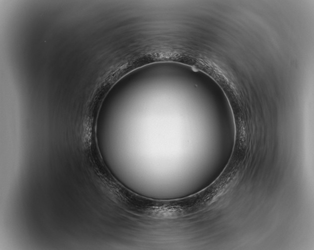 X0000096990545200802081430