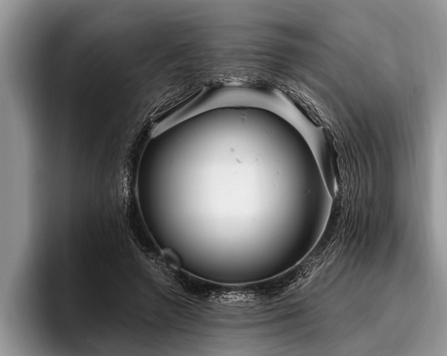 X0000096990546200802081430