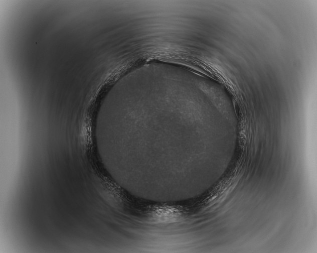 X0000096990547200802081430