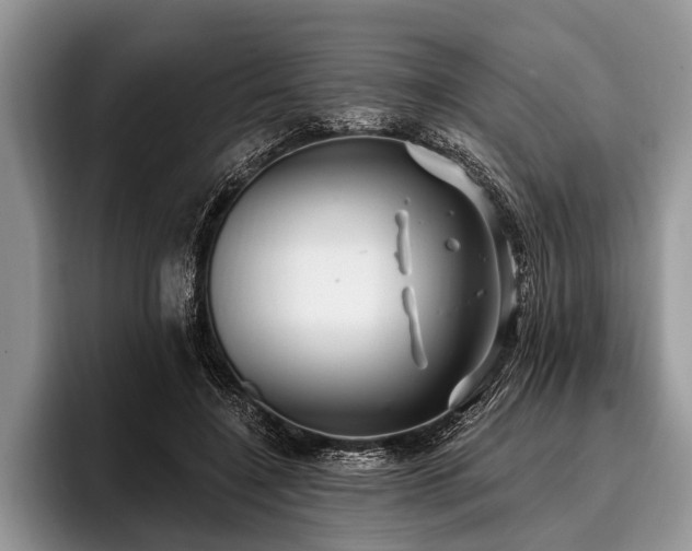 X0000096990548200802081430