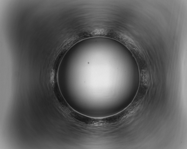 X0000096990550200802081430