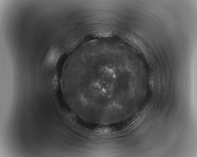 X0000096990551200802081430