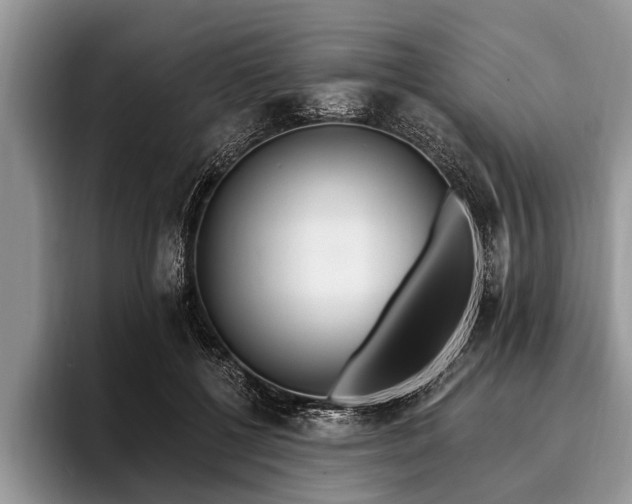 X0000096990552200802081430