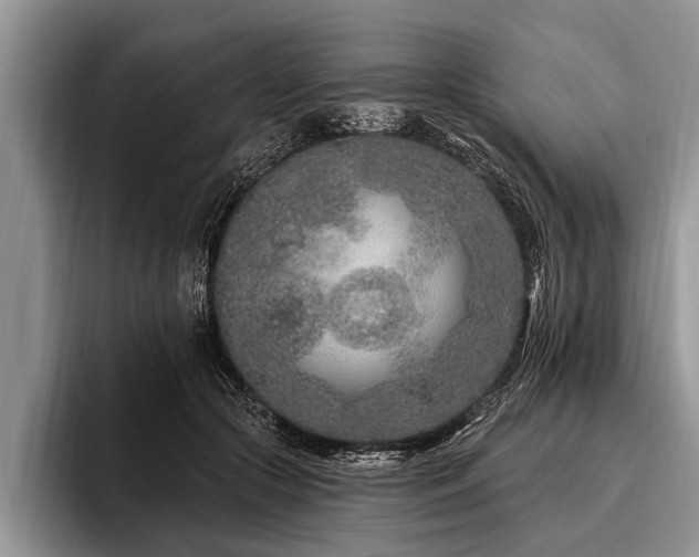 X0000096990553200802081430