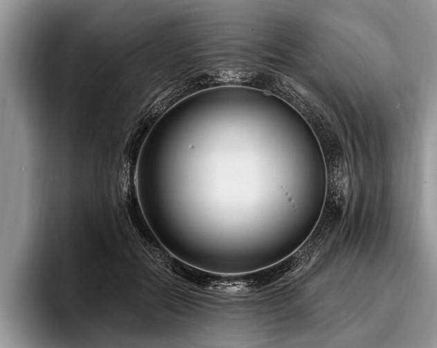 X0000096990554200802081430