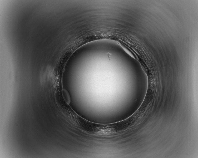 X0000096990555200802081430