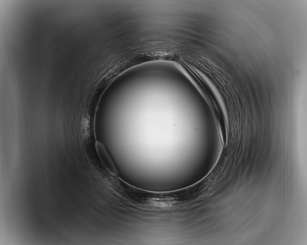 X0000096990556200802081430