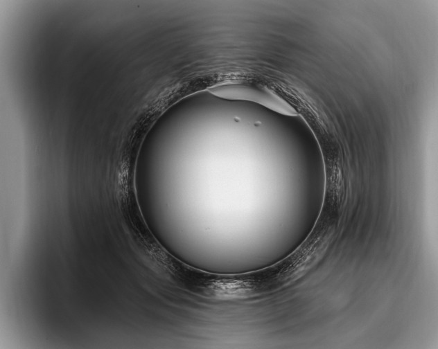 X0000096990557200802081430