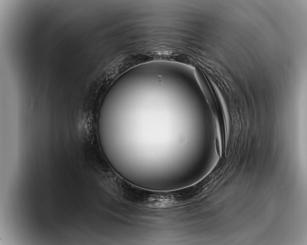 X0000096990559200802081430
