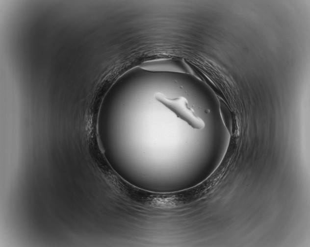 X0000096990560200802081430