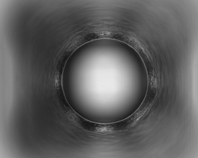 X0000096990561200802081430