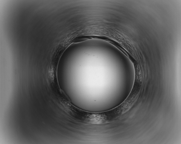X0000096990562200802081430