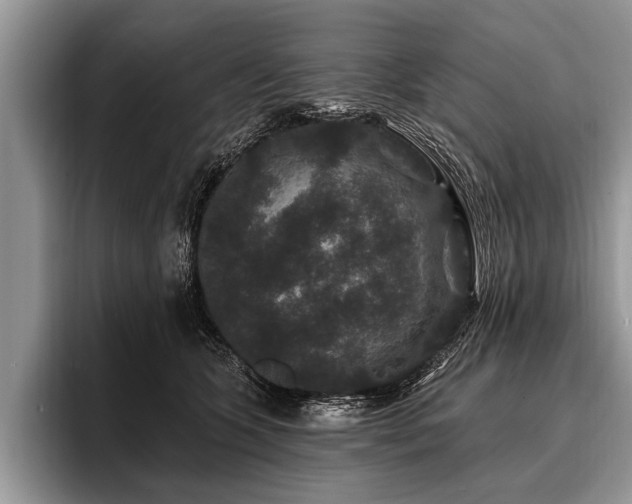 X0000096990563200802081430