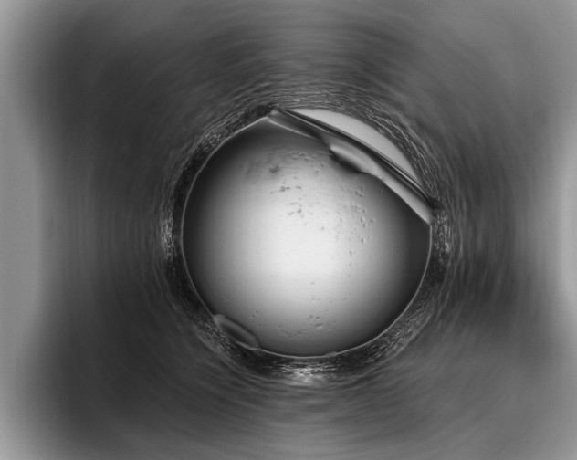 X0000096990564200802081430