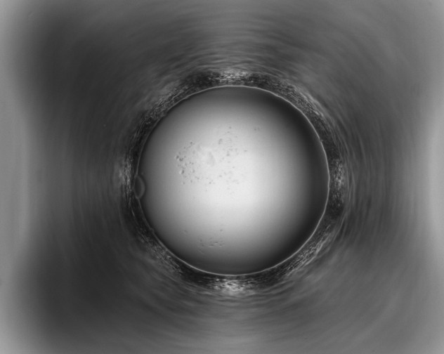 X0000096990565200802081430