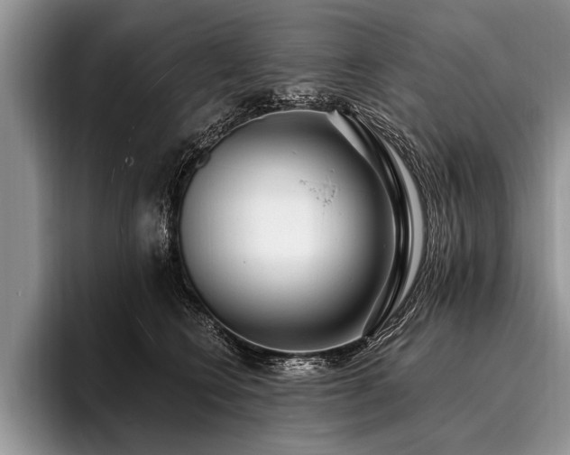 X0000096990566200802081430
