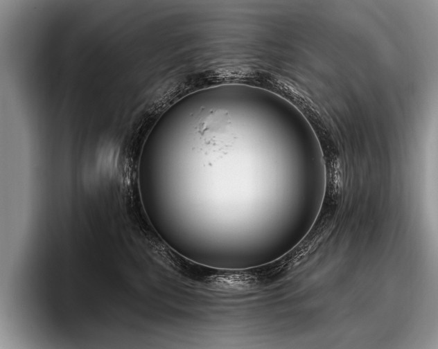 X0000096990567200802081430
