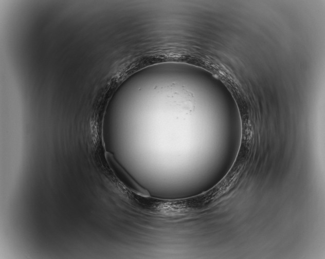 X0000096990568200802081430
