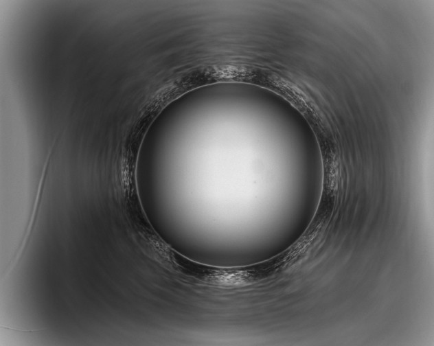 X0000096990569200802081430
