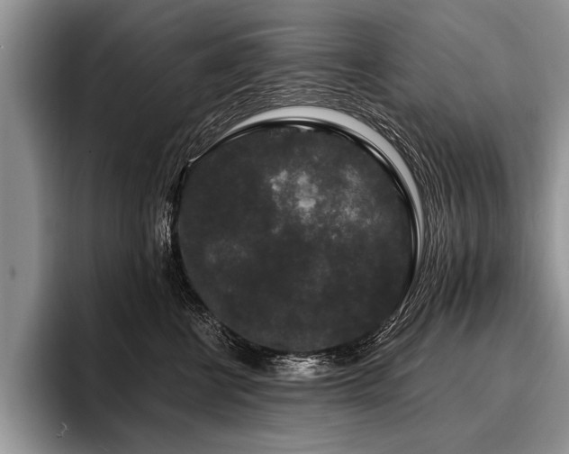 X0000096990570200802081430