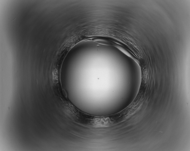 X0000096990571200802081430