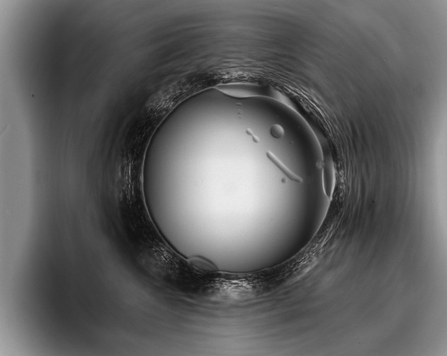 X0000096990572200802081430