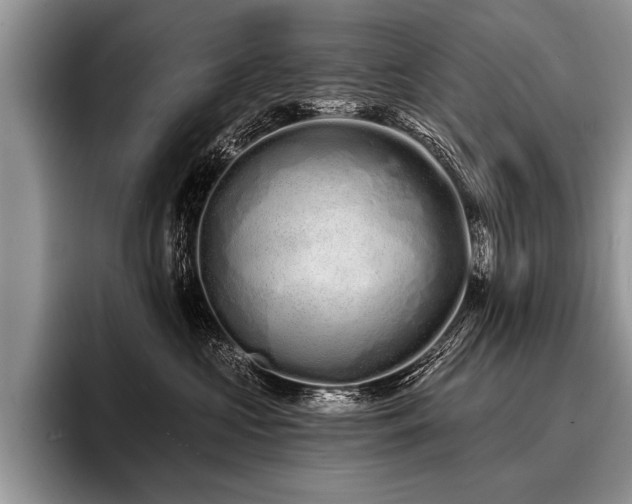 X0000096990573200802081430
