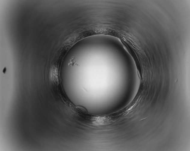 X0000096990575200802081430