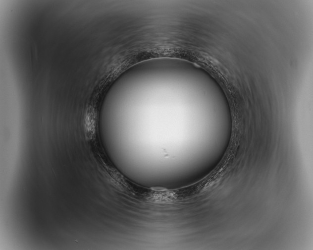 X0000096990576200802081430