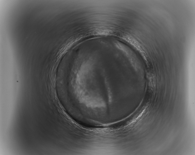 X0000096990577200802081430